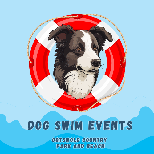 Dog Swim Events